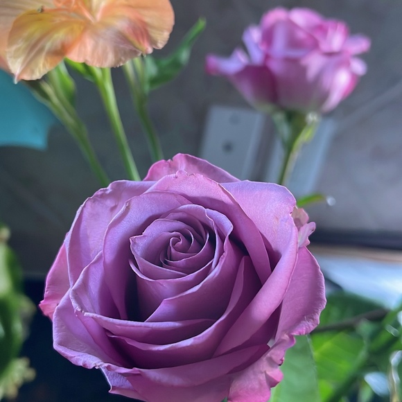 mariposita_42